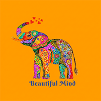 beautiful mind