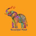 beautiful_mind_logo
